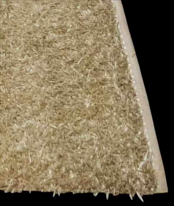 Champagne Shaggy Rug