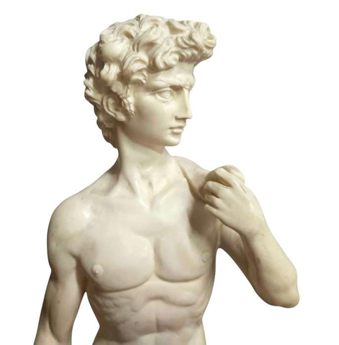 Michelangelo's David