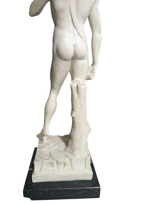 Michelangelo's David