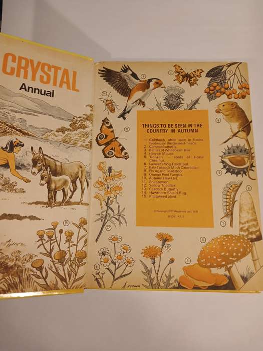 Girls' Crystal Annual 1971, IPC Magazines