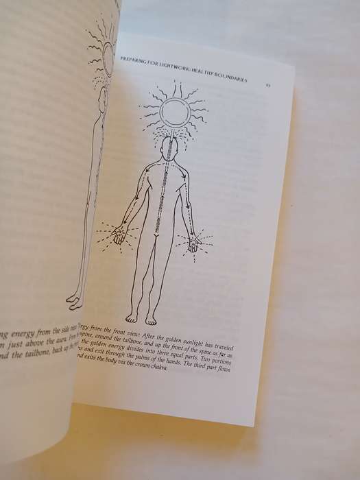 The Pleiadian Workbook, Awakening Your Divine Ka by Amorah Quan Yin