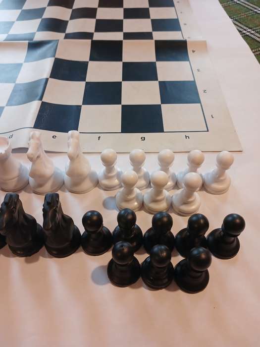 Chess Set with 46cm Leather Foldable Mat