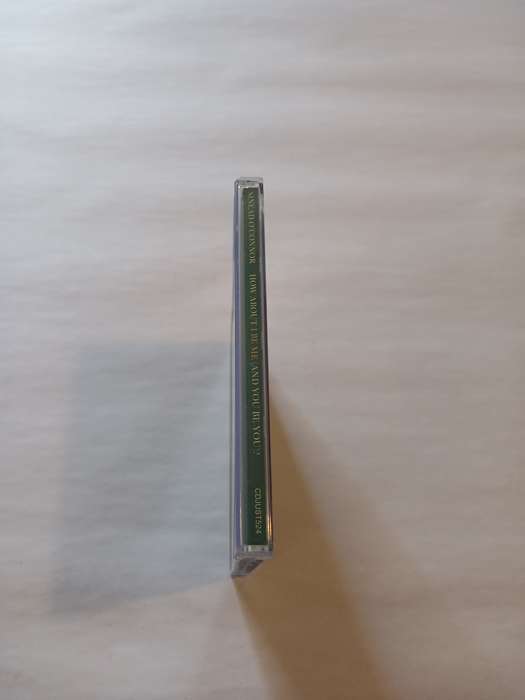Sinead O'Connor, How About I Be Me and you be you CD