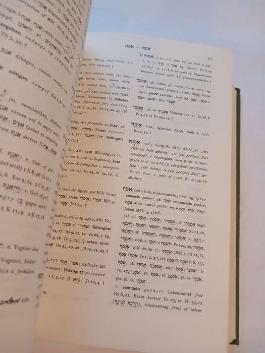 Lexicon In Veteris Testamenti Libros 1958
