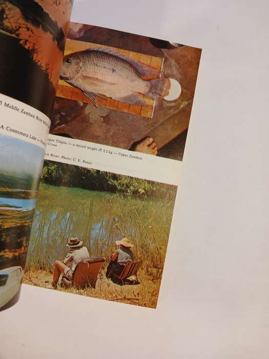 The Fishes of Zimbabwe by Graham Bell-Cross and John L. Minshull