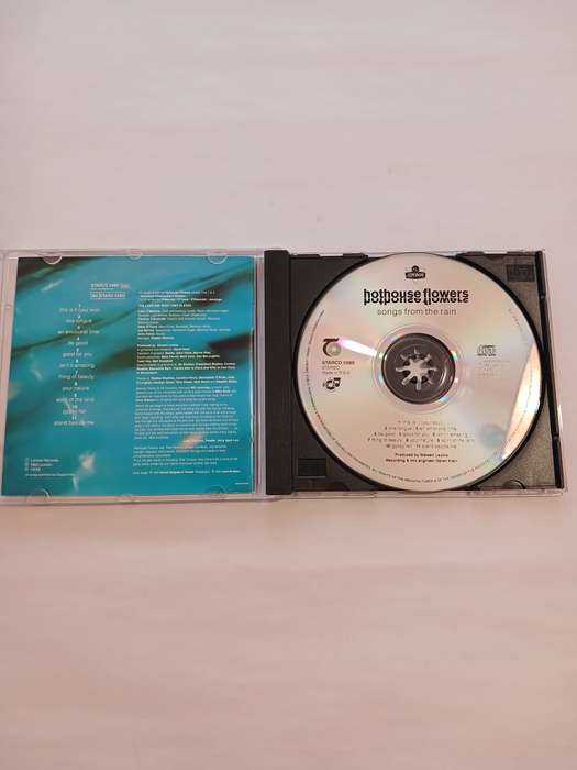 Hothouse Flowers, Songs from the Rain CD