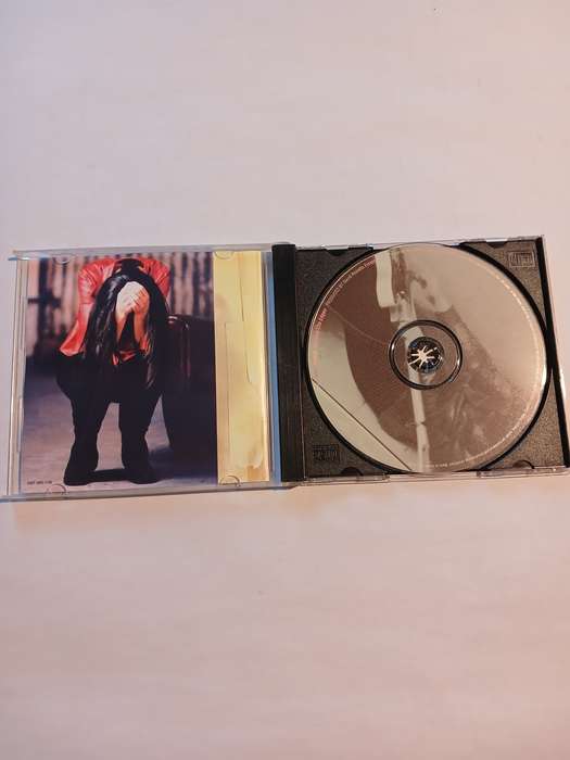 Meredith Brooks, Blurring the Edges CD
