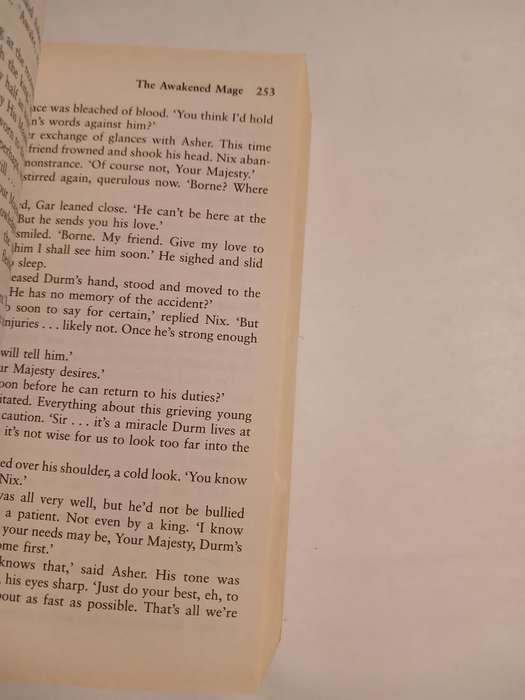 The Awakened Mage, Kingmaker Kingbreaker Book Two by Karen Miller