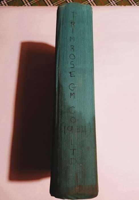 Primrose Gold Mining Company Directors' Minutes 1973-1981