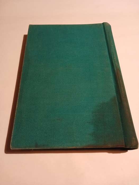 Primrose Gold Mining Company Directors' Minutes 1973-1981