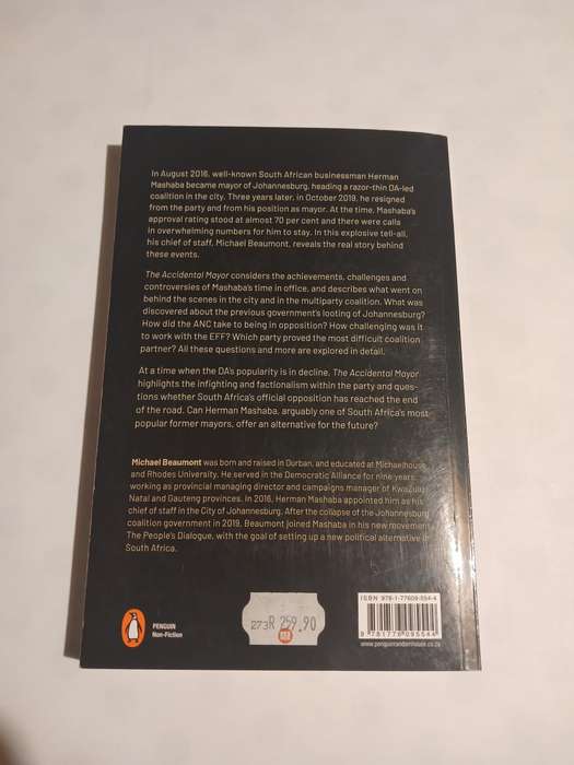 The Accidental Mayor by Michael Beaumont