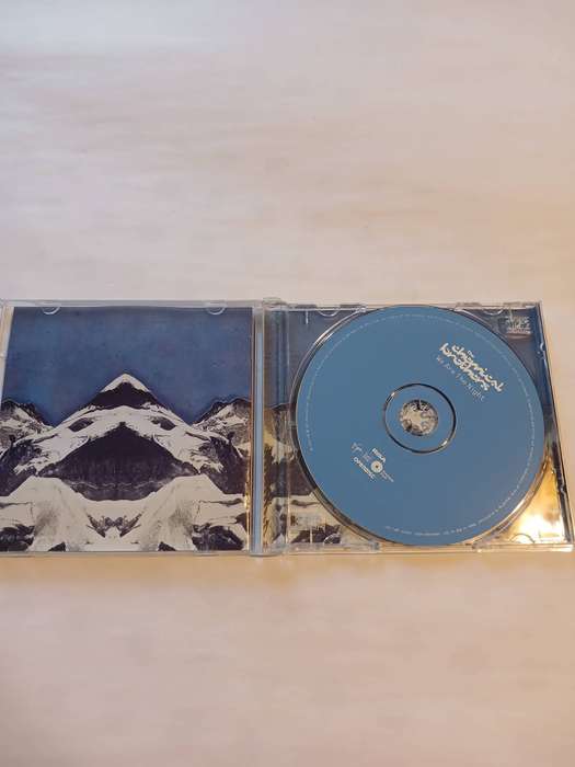 The Chemical Brothers, We are the Night CD