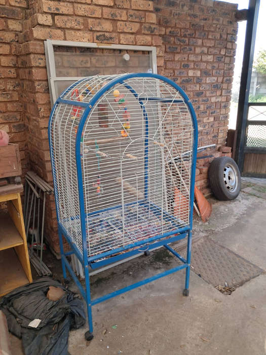 Big bird cage