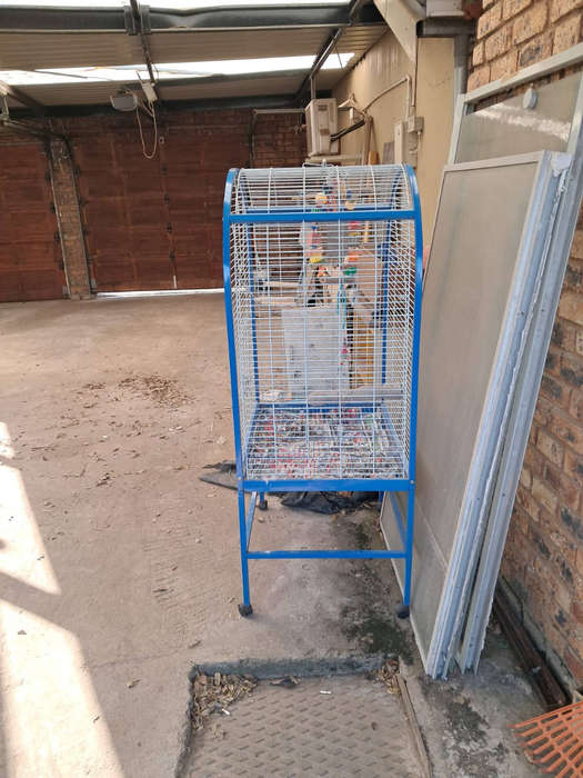 Big bird cage
