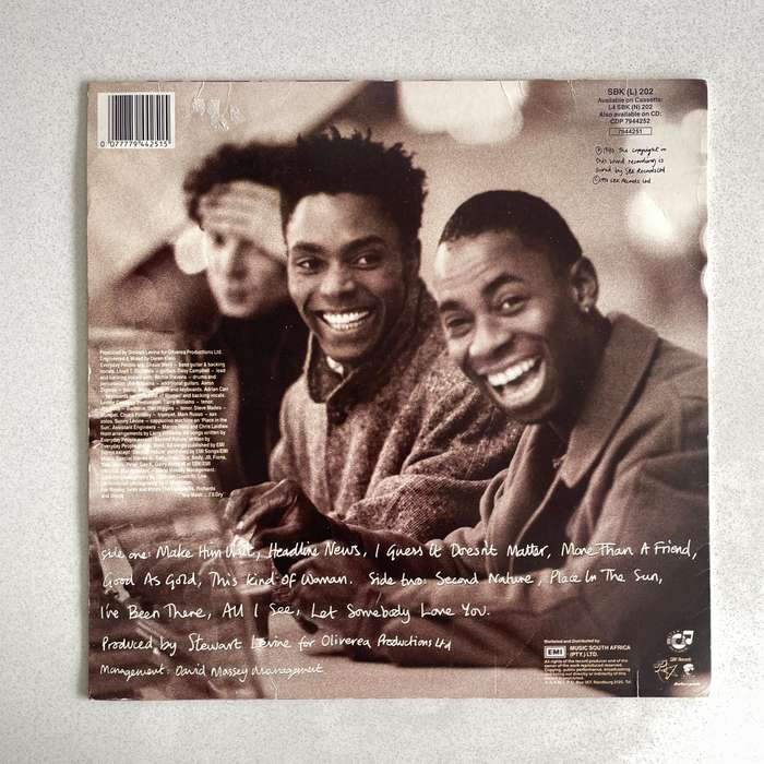 Everyday People You wash ill dry LP Vinyl Record