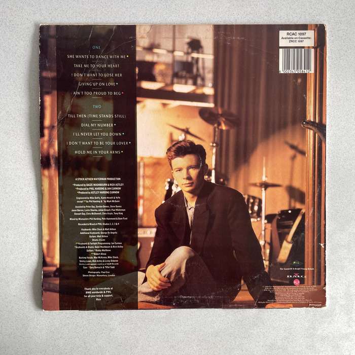 Rick Astley Hold me in your arms LP Record Vinyl