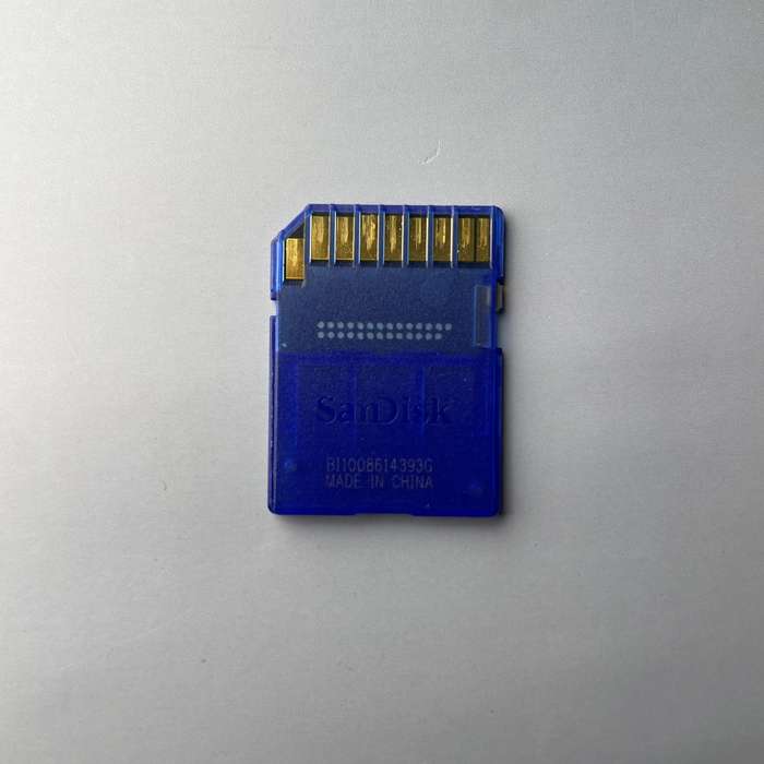 SanDisk 8GB SD Card