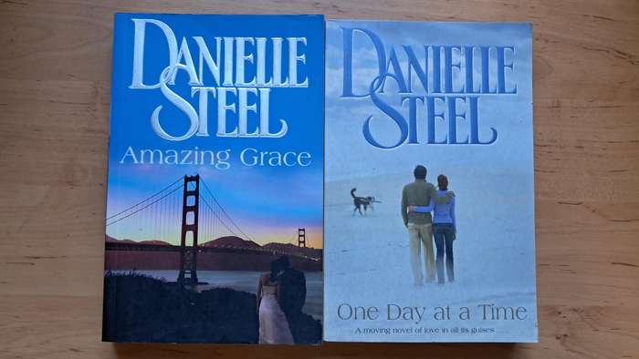 Danielle Steel 2-book Bundle: Amazing Grace + One Day at a Time