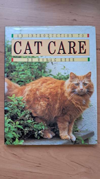 Introduction to Cat Care by Dr. Morag Kerr