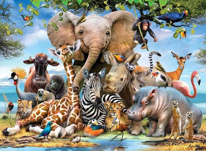 Africa Smile 1000 Pieces Anatolian Puzzle ANA1043