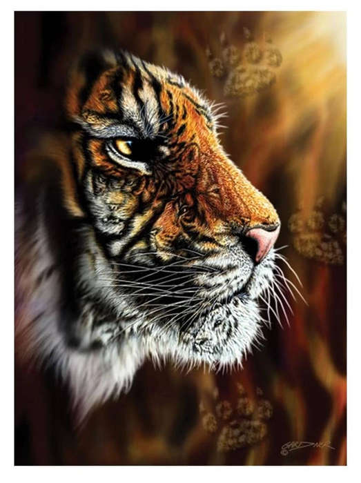 Wild Tiger 1000 Pieces Anatolian Puzzle ANA1097