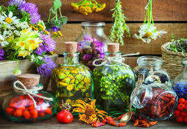Herbal Therapy 500 Pieces Anatolian Puzzle ANA3621