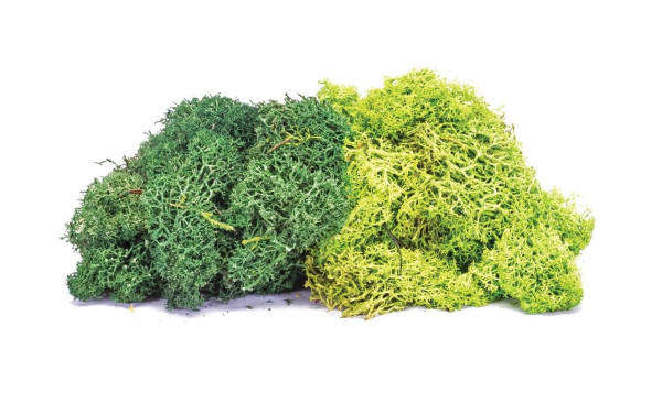 Lichen Green Mix 35gm (Hornby R7194)
