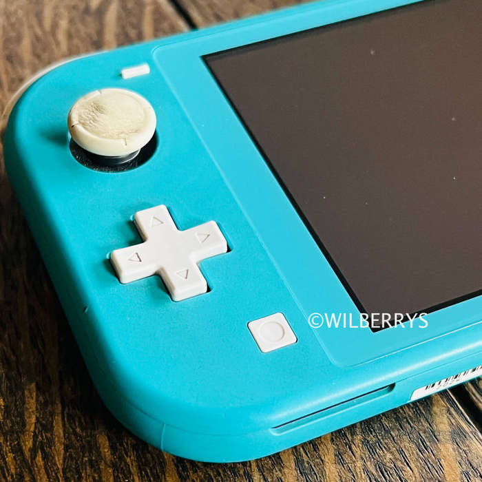 Nintendo Switch Lite Console