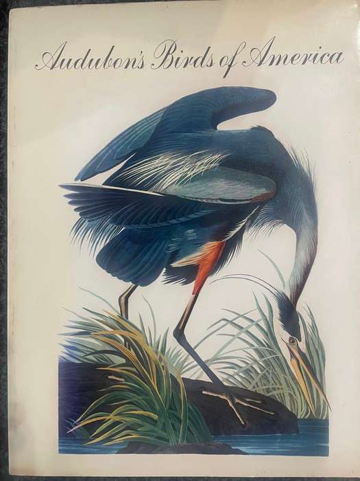AUDUBON'S BIRDS OF AMERICA BY JOHN JAMES AUDUBON