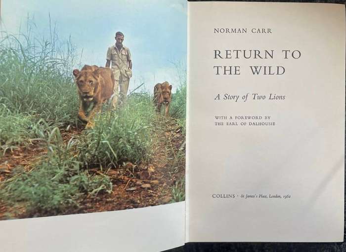 RETURN TO THE WILD: A STORY OF TWO LIONS BY NORMAN CARR