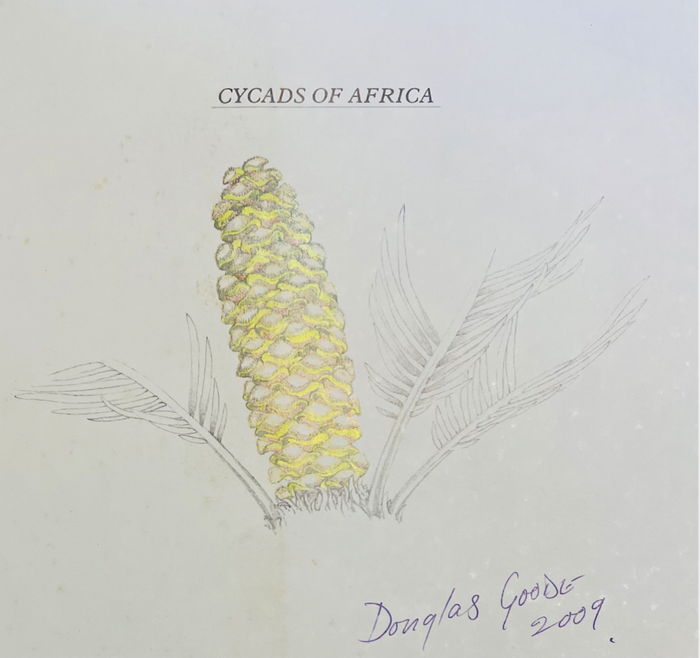 SIGNED!! `CYCADS OF AFRICA` BY DOUGLAS GOODE - FIRST EDITION IN FINE SLIPCASE GREAT CONDITION