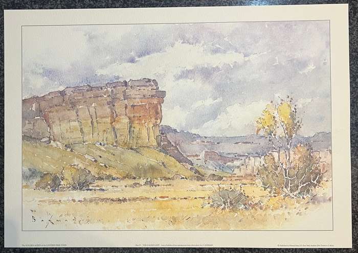 1 x COLLECTION OF 4 PRINTS BY JOHANNES G BORMAN, THE GOLDEN ACRES OF THE EASTERN FREE STATE