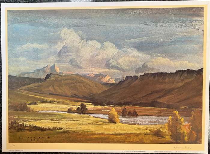 SIGNED, NUMBERED! 1 x COLLECTION OF 4 PRINTS BY LISTED SOUTH AFRICAN ARTIST ROWENA BUSH, NATAL