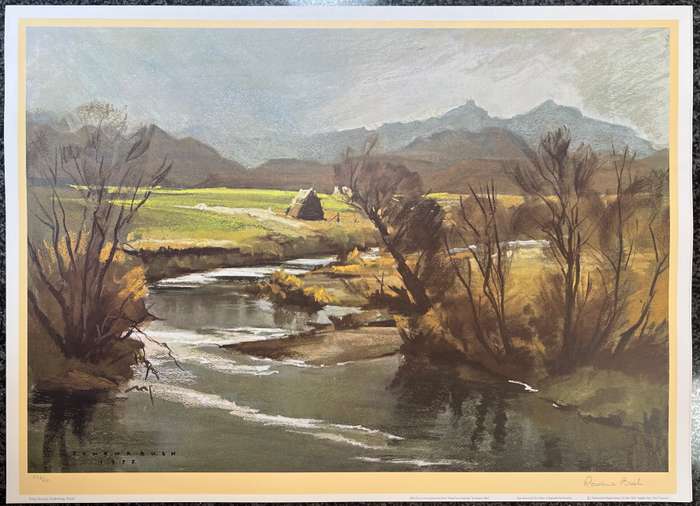 SIGNED, NUMBERED! 1 x COLLECTION OF 4 PRINTS BY LISTED SOUTH AFRICAN ARTIST ROWENA BUSH, NATAL