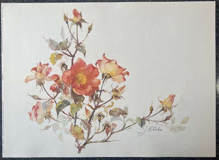 1 x COLLECTION OF 2 PRINTS BY LISTED SOUTH AFRICAN ARTIST JOYCE BLAKE, ROSES