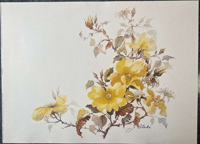 1 x COLLECTION OF 2 PRINTS BY LISTED SOUTH AFRICAN ARTIST JOYCE BLAKE, ROSES