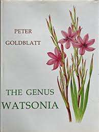 "THE GENUS WATSONIA" BY PETER GOLDBLATT