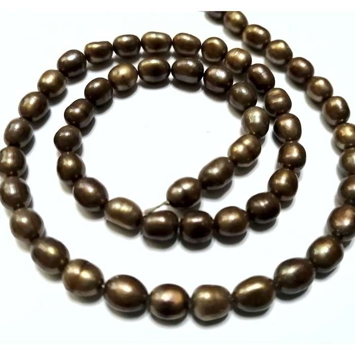 Keshi Shell Pearl Beads +/- 8x6mm -37cm string -kaki - beads for crafting