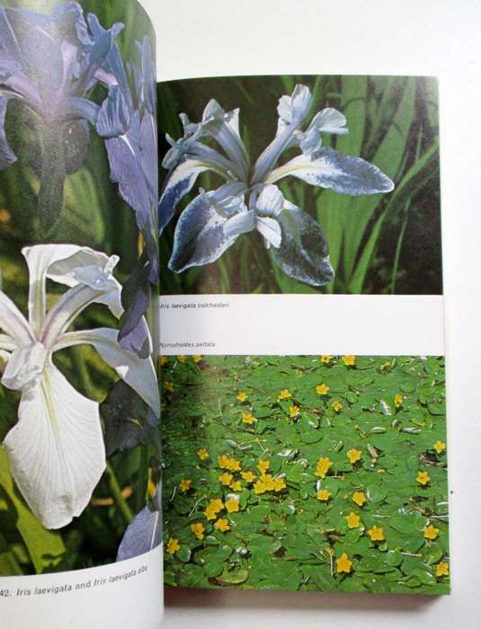 Ponds and water gardens - Bill Heritage - Blanford Press, Dorset (Softcover)