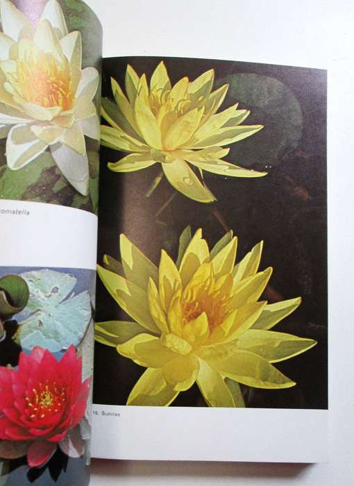 Ponds and water gardens - Bill Heritage - Blanford Press, Dorset (Softcover)