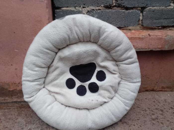 Cat Bed