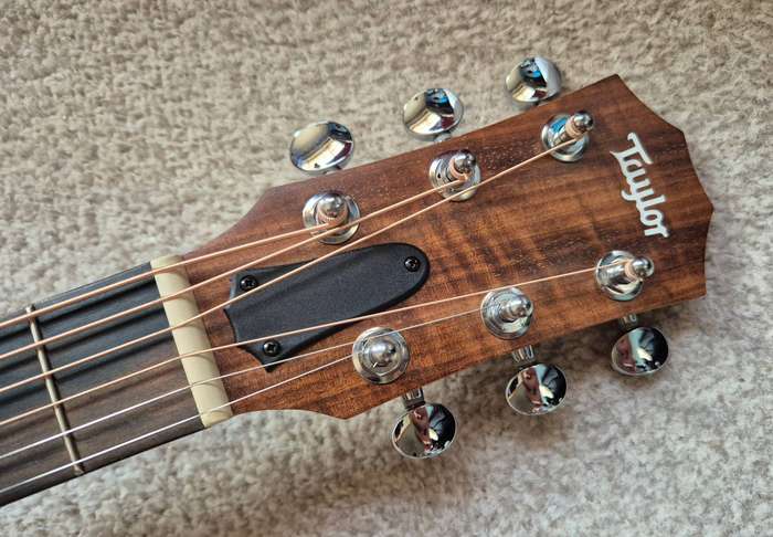 Taylor GS Mini Rosewood Acoustic Guitar with Pickup