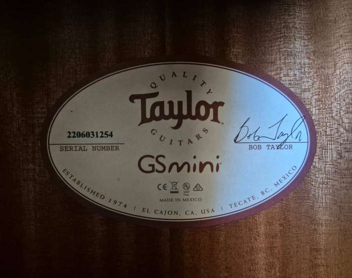 Taylor GS Mini Rosewood Acoustic Guitar with Pickup