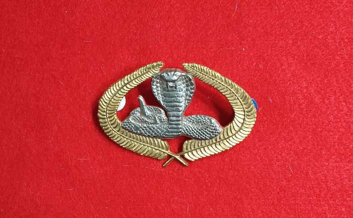 EXECUTIVE OUTCOMES - METAL CAP BADGE 1