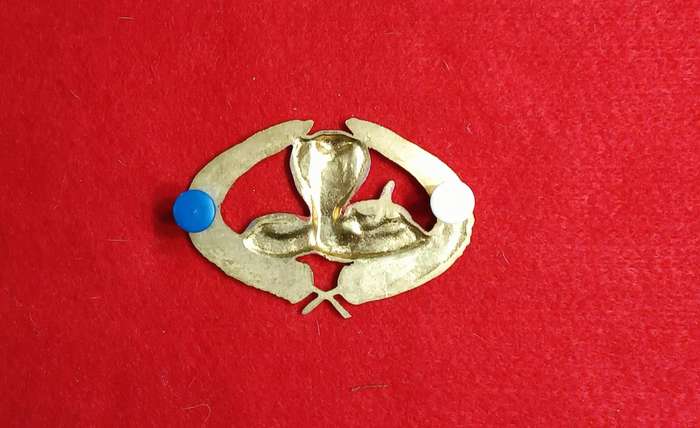 EXECUTIVE OUTCOMES - METAL CAP BADGE 1