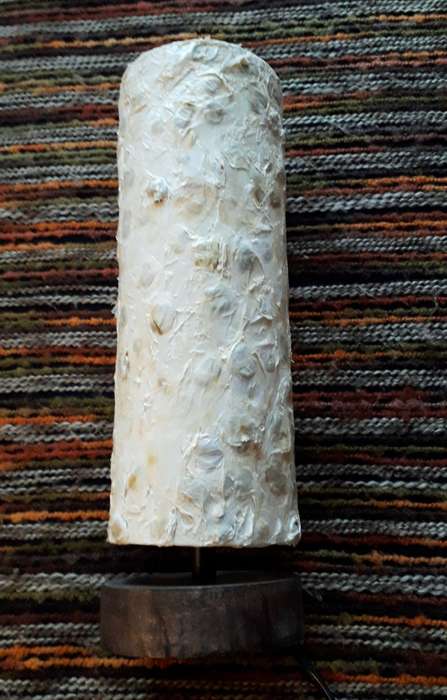 Natural Seed Bedside Table Lamp