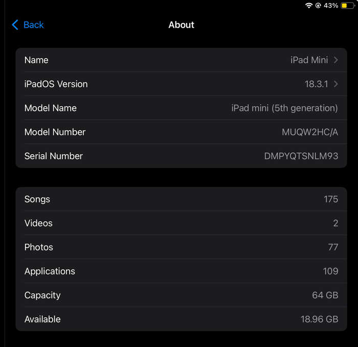 iPad Mini 5th Generation - Excellent Condition