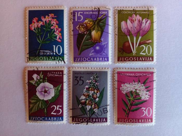 Yugoslavia 1957 Medicinal Plants