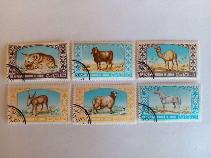 Jordan 1967 Animals