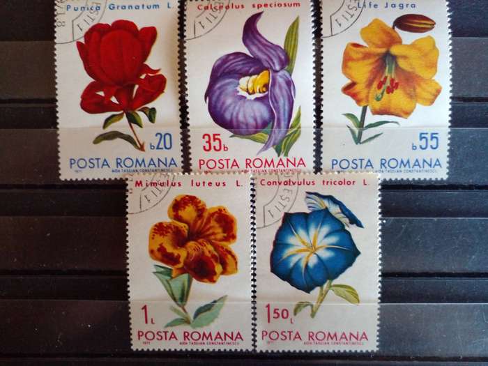 Romania 1971 Flowers